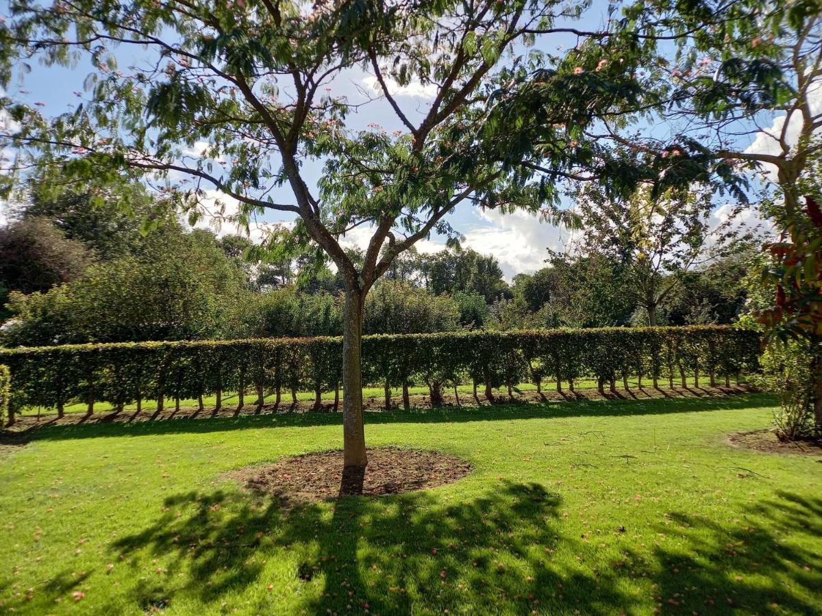 Les Bleuets Villa Mandeville-en-Bessin Ngoại thất bức ảnh